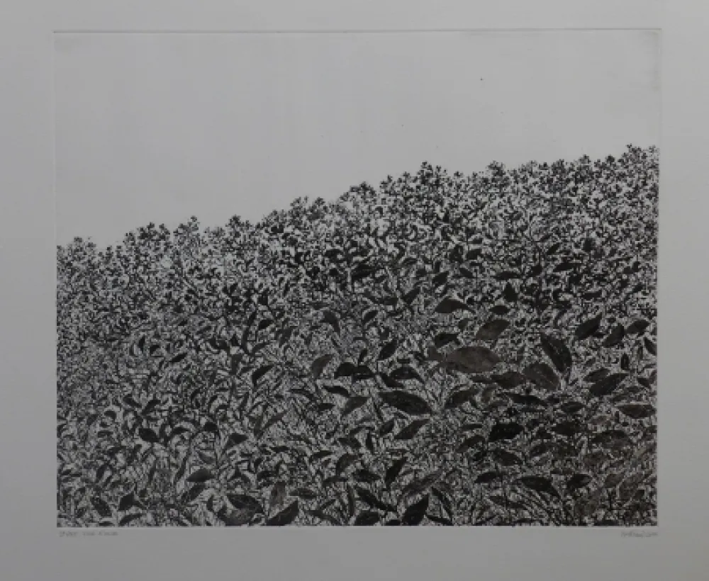 Engraving Henry - Sans titre