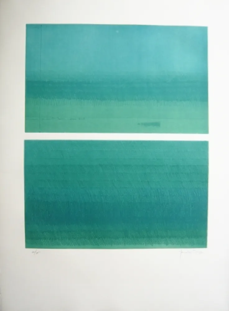 Etching Hernandez Pijuan - Doble paisatge