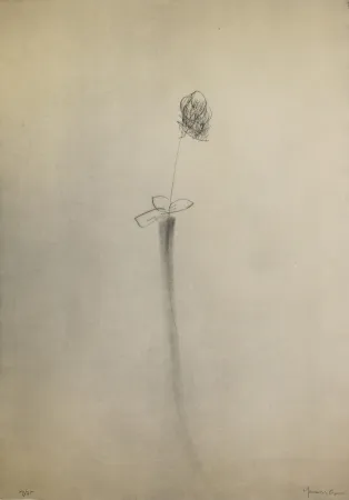 Drypoint Hernandez Pijuan - Gerro i flor (Vase and Flower)