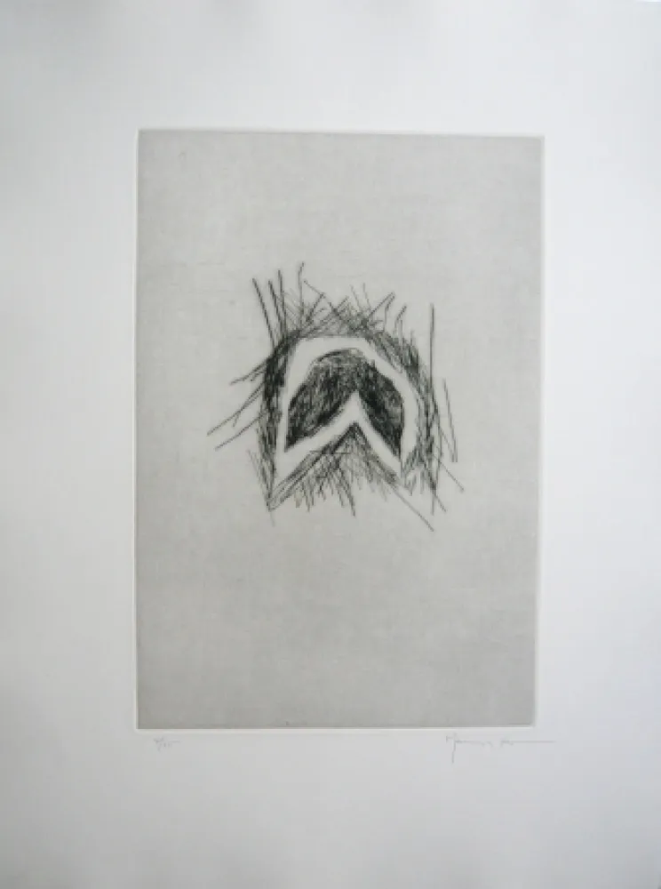 Drypoint Hernandez Pijuan - Hojas 1