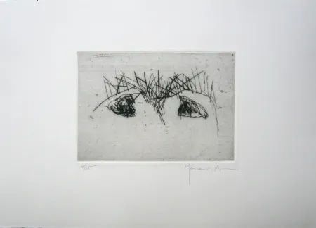 Drypoint Hernandez Pijuan - Hojas 2