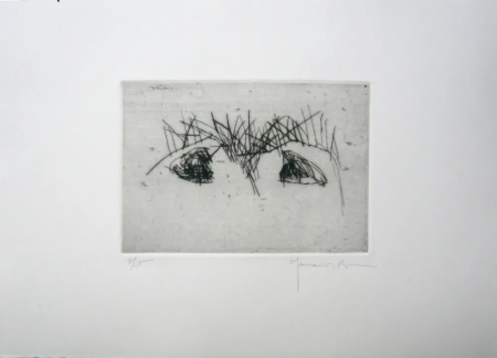 Drypoint Hernandez Pijuan - Hojas 2