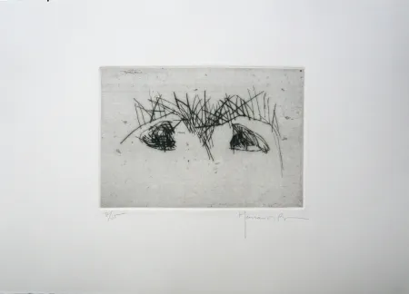 Drypoint Hernandez Pijuan - Hojas 2
