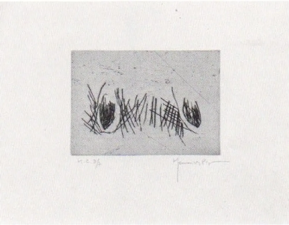 Drypoint Hernandez Pijuan - Hojas 4