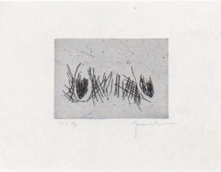 Drypoint Hernandez Pijuan - Hojas 4