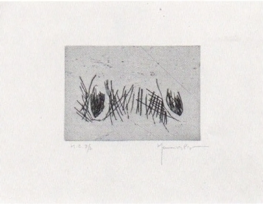 Drypoint Hernandez Pijuan - Hojas 4