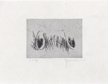 Drypoint Hernandez Pijuan - Hojas 4