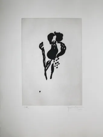 Aquatint Hernandez Pijuan - Iris negre VI (Black Iris VI)