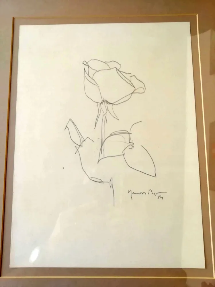 No Technical Hernandez Pijuan - La Rosa - 3