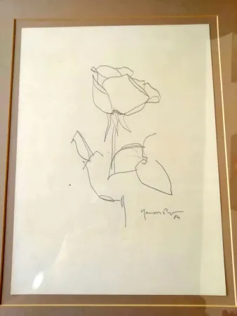 No Technical Hernandez Pijuan - La Rosa - 3