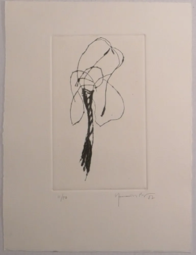 Drypoint Hernandez Pijuan - Lliri