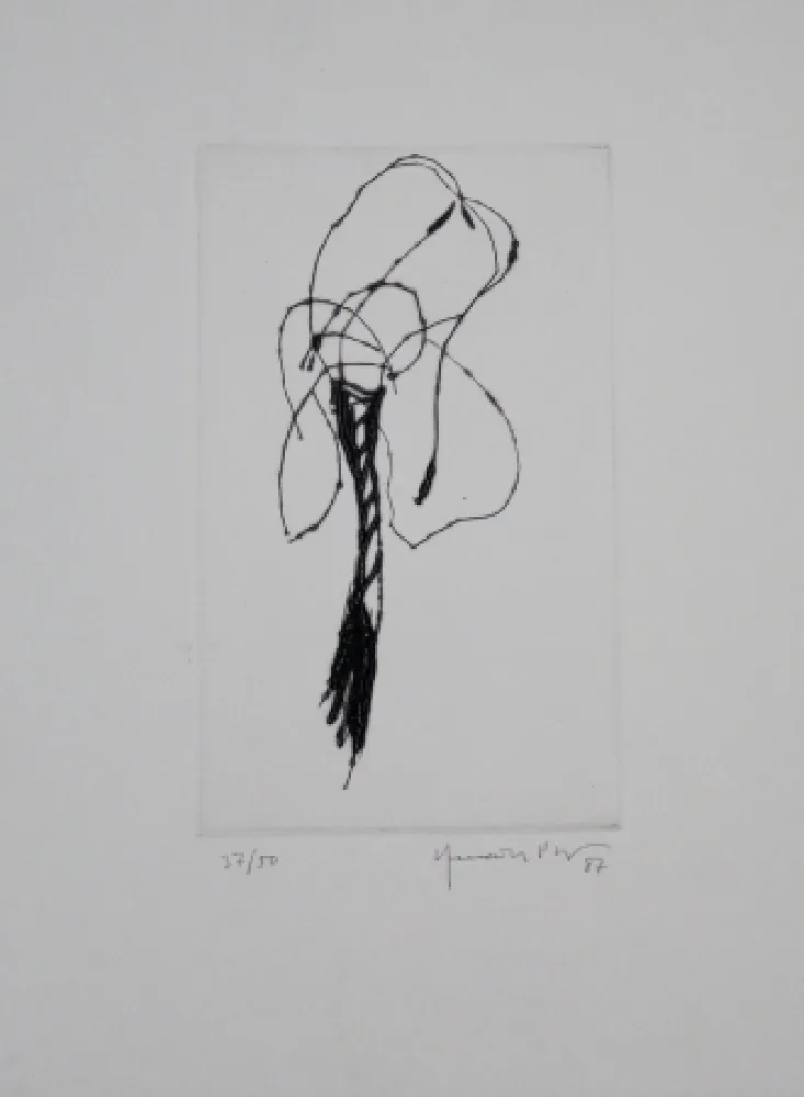 Drypoint Hernandez Pijuan - Lliri / Lily