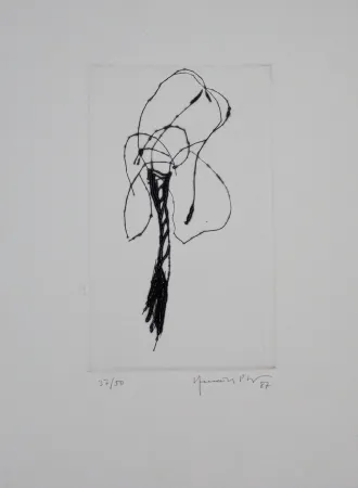 Drypoint Hernandez Pijuan - Lliri / Lily