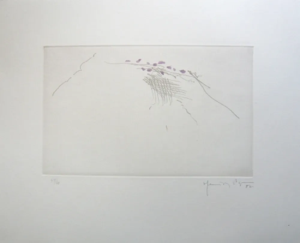 Etching Hernandez Pijuan - PJ8