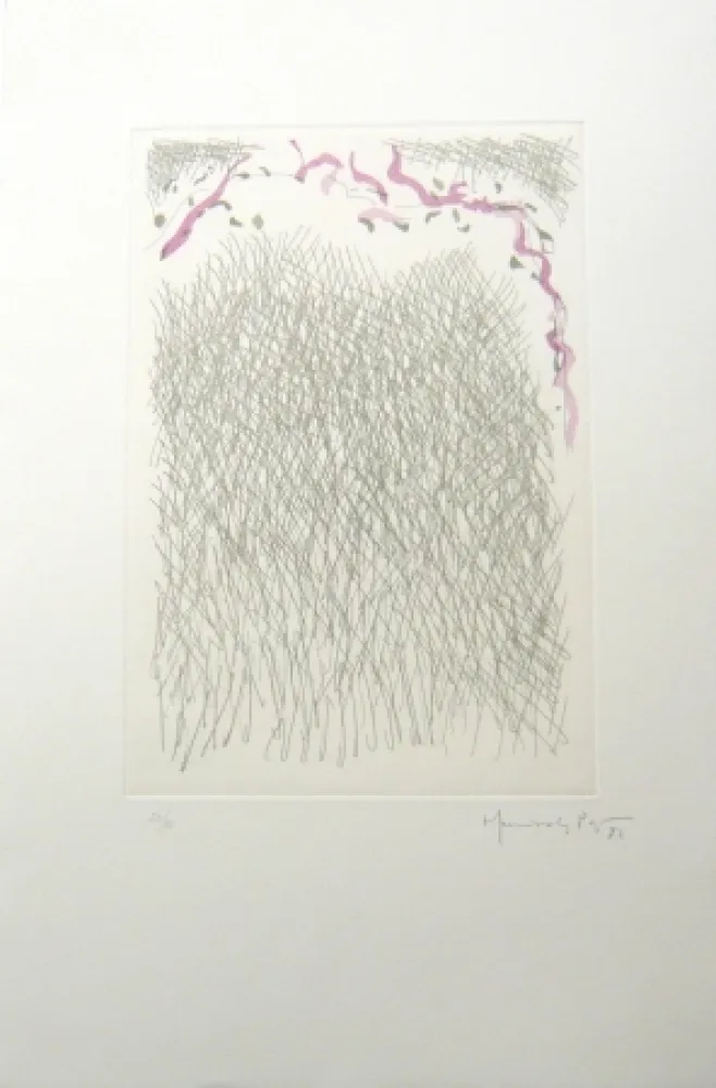 Etching Hernandez Pijuan - PL2