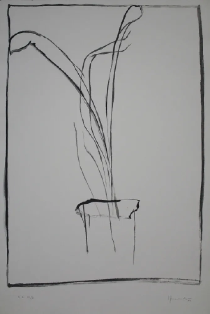 Drypoint Hernandez Pijuan - Planta de saló 1