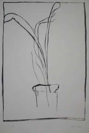Drypoint Hernandez Pijuan - Planta de saló 1