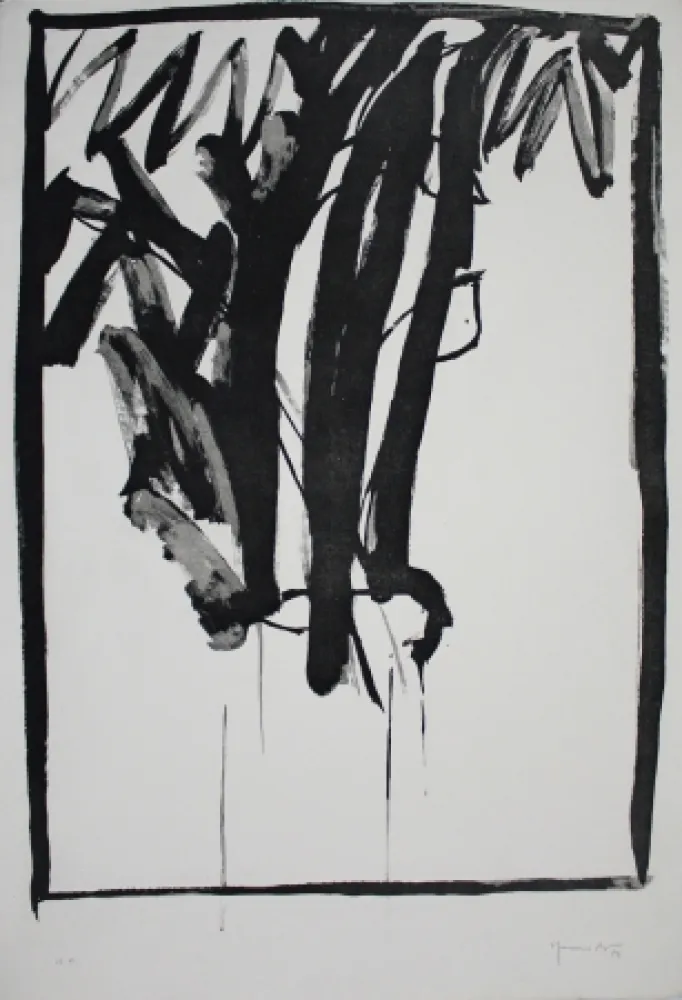 Aquatint Hernandez Pijuan - Planta de saló 2