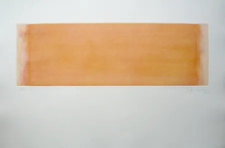 Etching Hernandez Pijuan - Polychrome 14