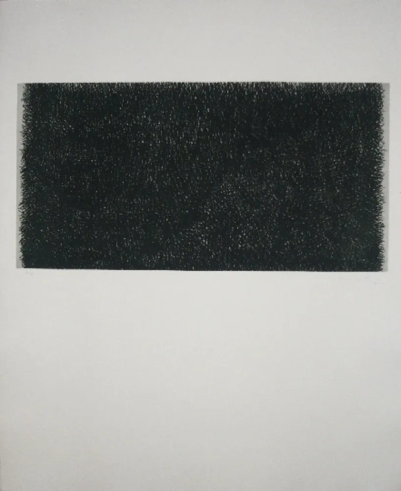 Etching Hernandez Pijuan - Polychrome 20