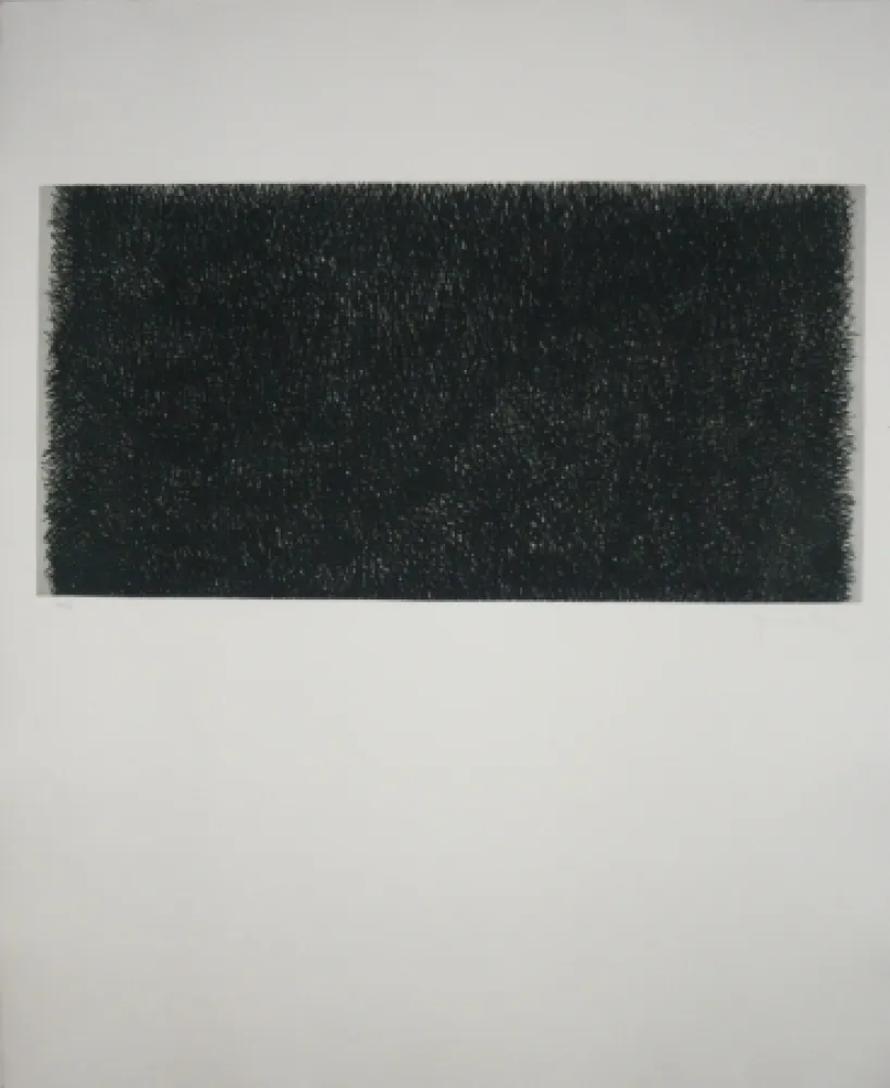 Etching Hernandez Pijuan - Polychrome 20