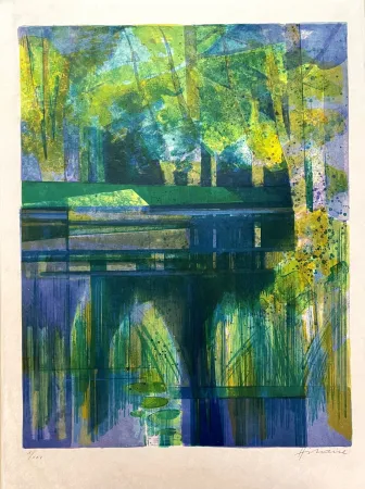 Lithograph Hilaire - Etang