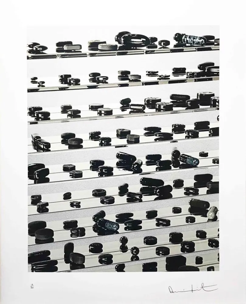 No Technical Hirst - Black Brilliant Utopia