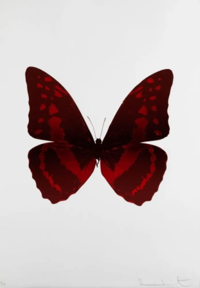 No Technical Hirst - Bristol 