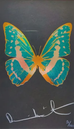 Multiple Hirst - Butterfly from The Souls