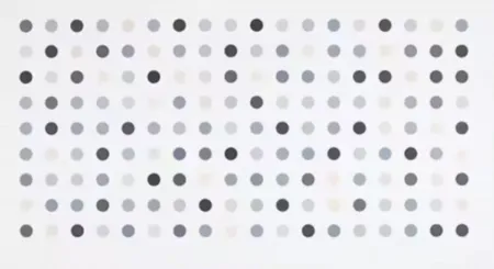 Etching Hirst - Diacetoxyscirpenol Spot Print