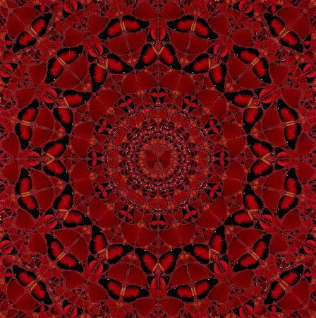 No Technical Hirst - H10-4 Suiko