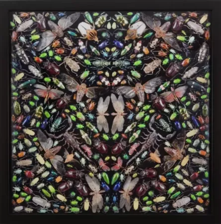 Multiple Hirst - Inferno