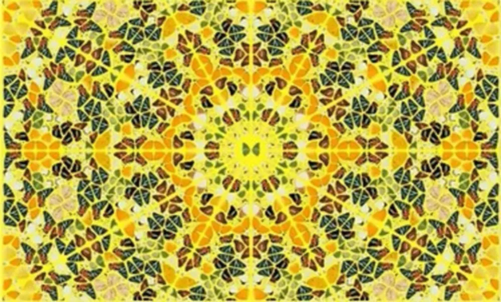 Multiple Hirst - Splendour from the Kaleidoscopes, H18-4