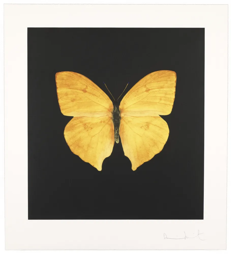 Etching Hirst - The Souls On Jacob’s Ladder Take Their Flight I