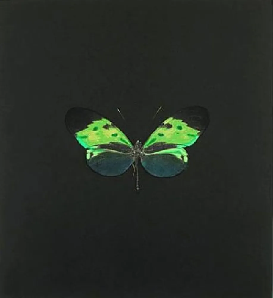 Engraving Hirst - The Souls on Jacob's Ladder Take Their Flight (Small Green)