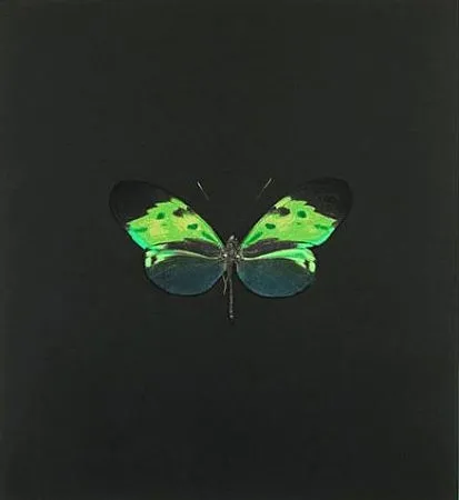 Engraving Hirst - The Souls on Jacob's Ladder Take Their Flight (Small Green)