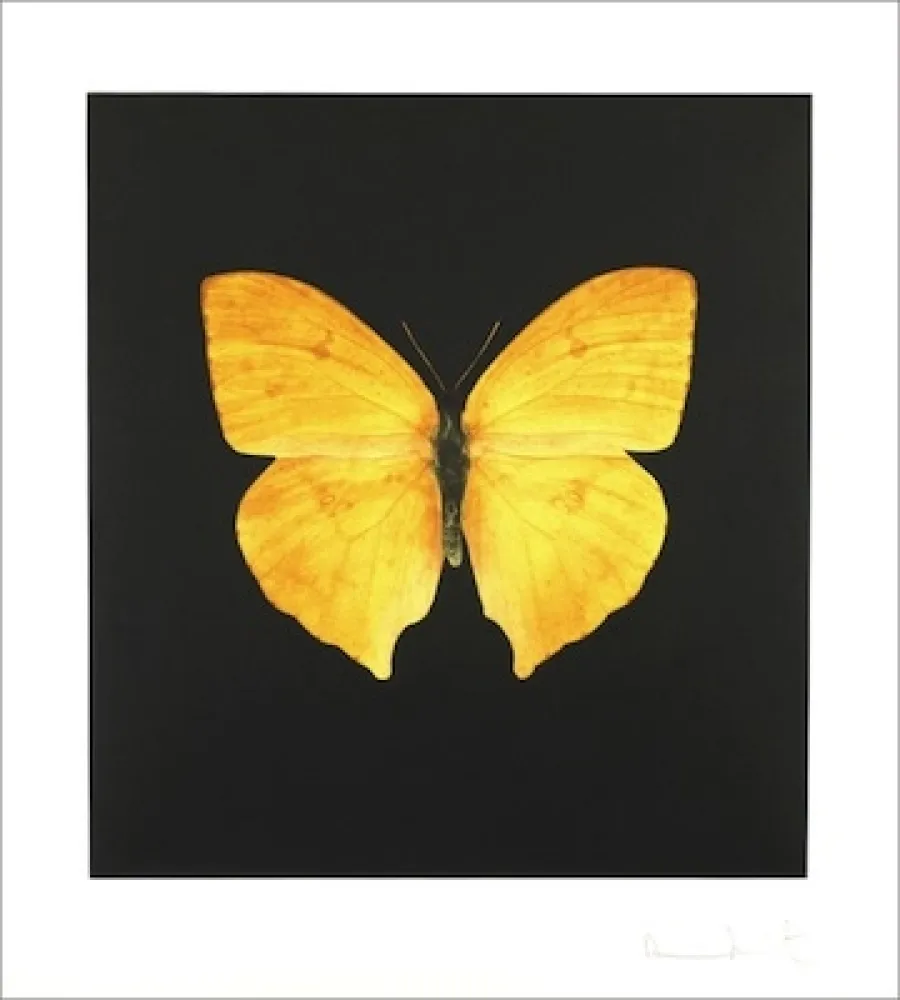 Engraving Hirst - TheSouls on Jacob's Ladder Take Their Flight (Large Yellow)