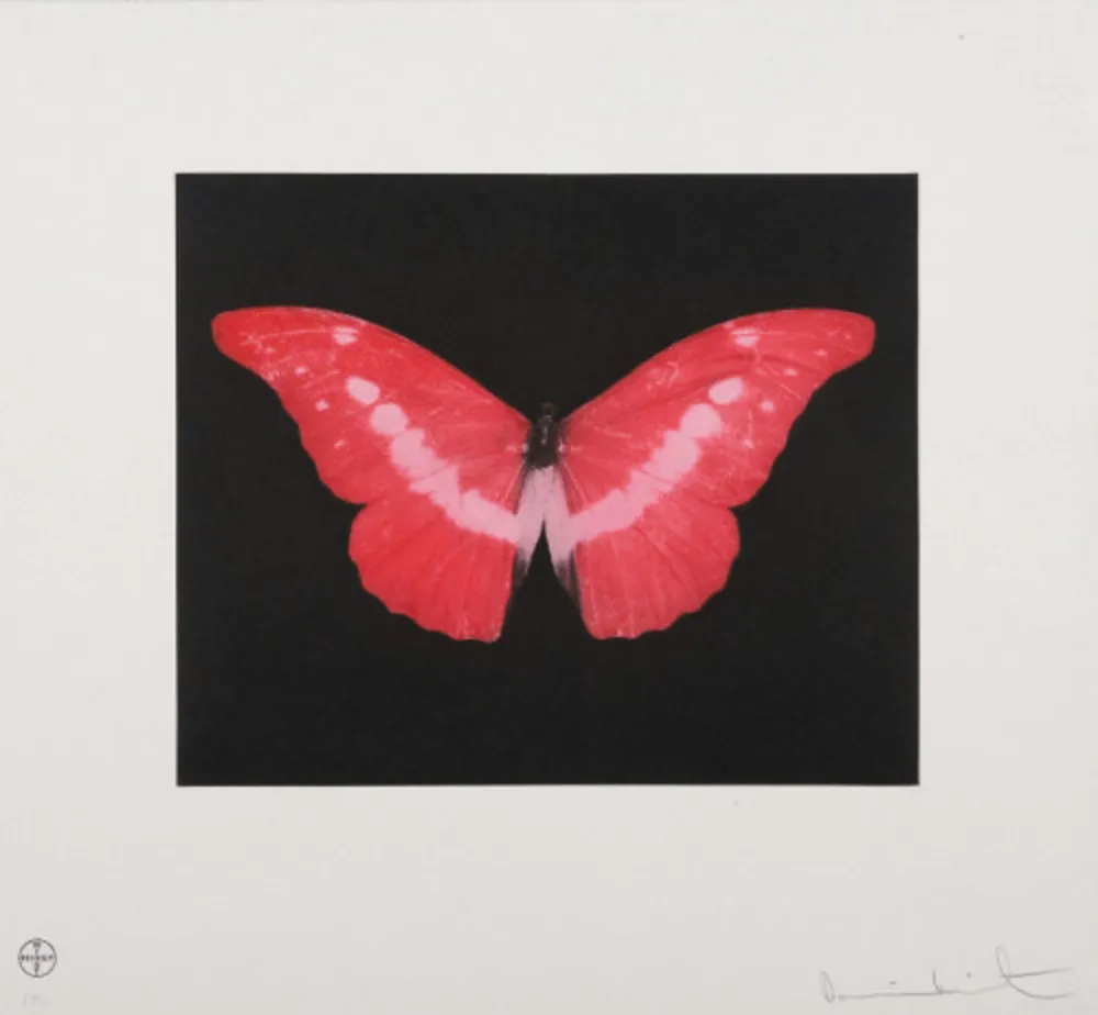 Aquatint Hirst - To Lose