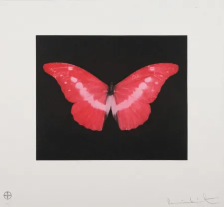 Aquatint Hirst - To Lose