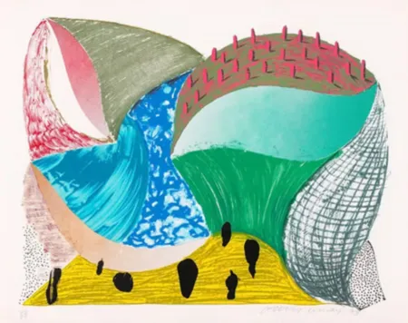 Screenprint Hockney - Gorge D'incre