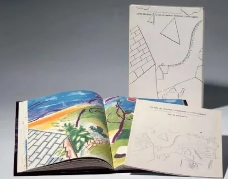 Illustrated Book Hockney - La Isla de Martha Vineyard y otros lugares