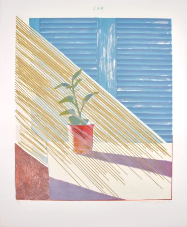 Lithograph Hockney - Sun