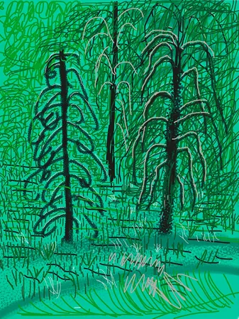 Numeric Print Hockney - Yosemite No.16