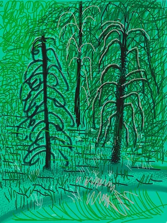 Multiple Hockney - Yosemite No.16