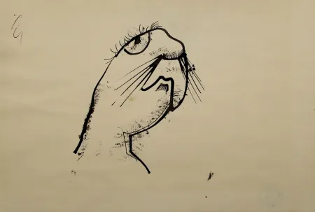 No Technical Hofer - Robbe (Seal)