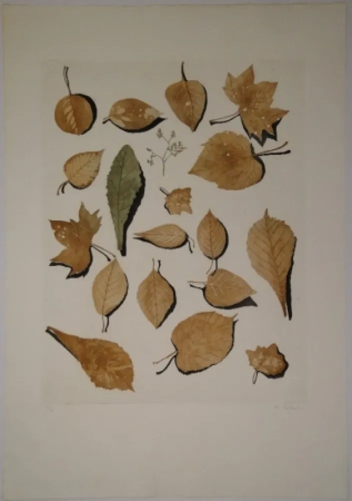 Etching And Aquatint Hofkunst - (Welke Laubblätter)