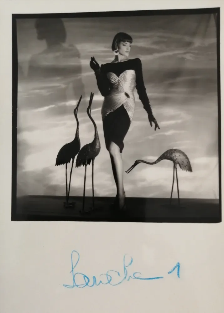 Photography Horst  - Femme au hérons