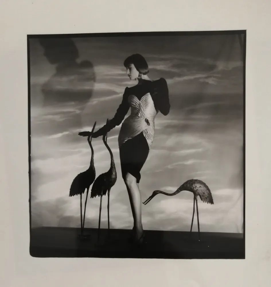 Photography Horst  - Femme aux hérons