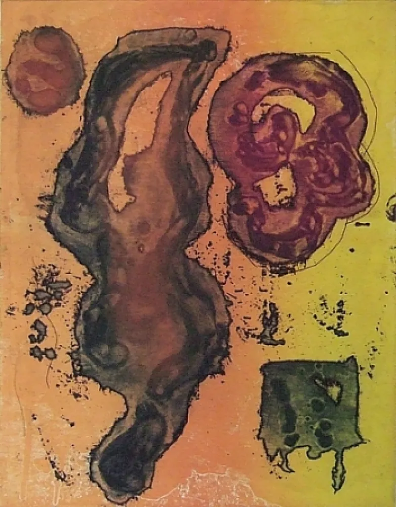 Etching And Aquatint Hoyland - Rivers of Surprise