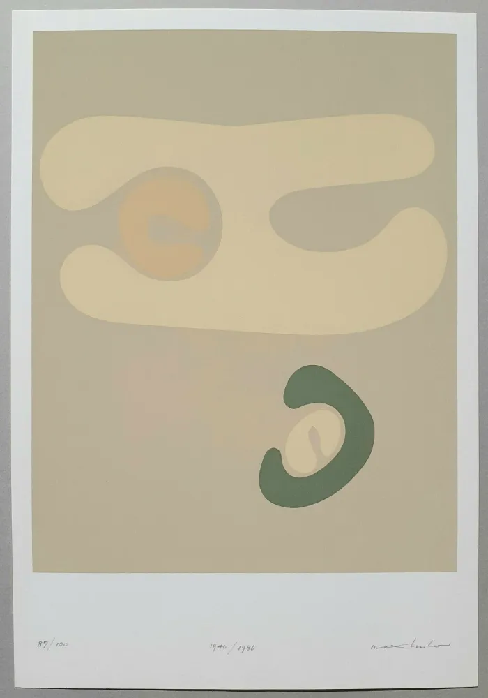 Screenprint Huber - Composizione bios